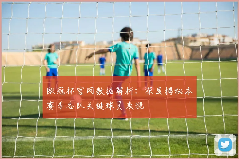 欧冠杯官网数据解析:深度揭秘本赛季各队关键球员表现