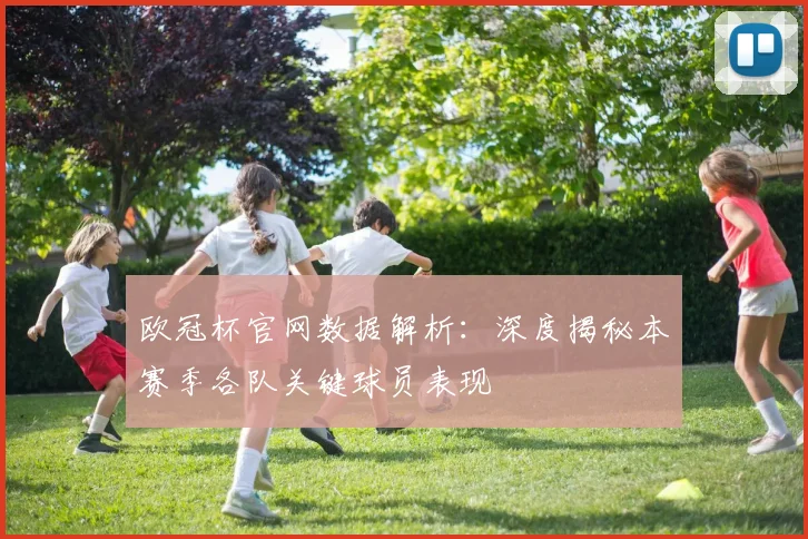 欧冠杯官网数据解析:深度揭秘本赛季各队关键球员表现